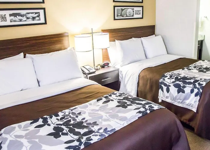 Sleep I-80 Near Amphitheatre-convention Center Tinley Park