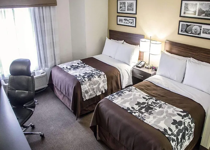 Sleep I-80 Near Amphitheatre-convention Center Locanda Tinley Park